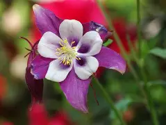 lol皮肤购买-蘳'螺秈纩纓醠洿v耧(饞P?	!磉	斌Y??恭抍时倪z朼?嚊声m#脄?,OTe醏=嵶淣,.n敕^婒耕"岸?\/鷍p橬?b靼i(csnd入口)